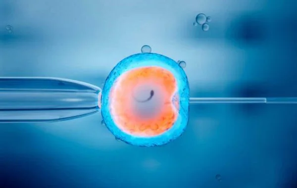 fecundacion in vitro